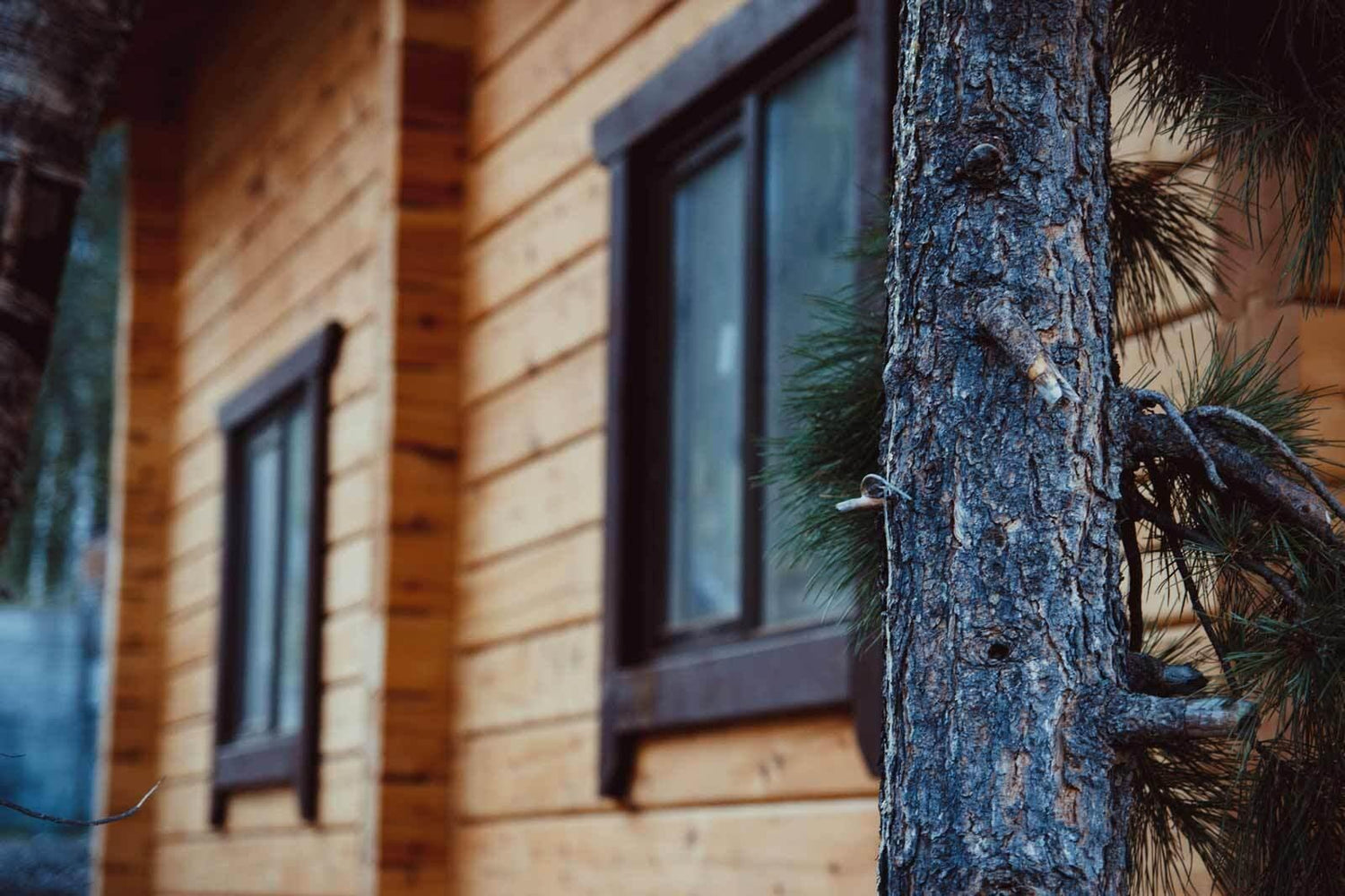 Homeenpoistoaine: Tehokas ratkaisu homeongelmiin sisä- ja ulkotiloissa