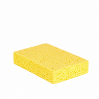 Westex Pesusieni, Viskoosi 15x11x3,5cm
