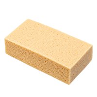 MA Nokisieni